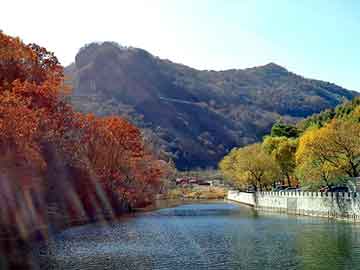 澳门天天好好免费资料，雷山seo建站